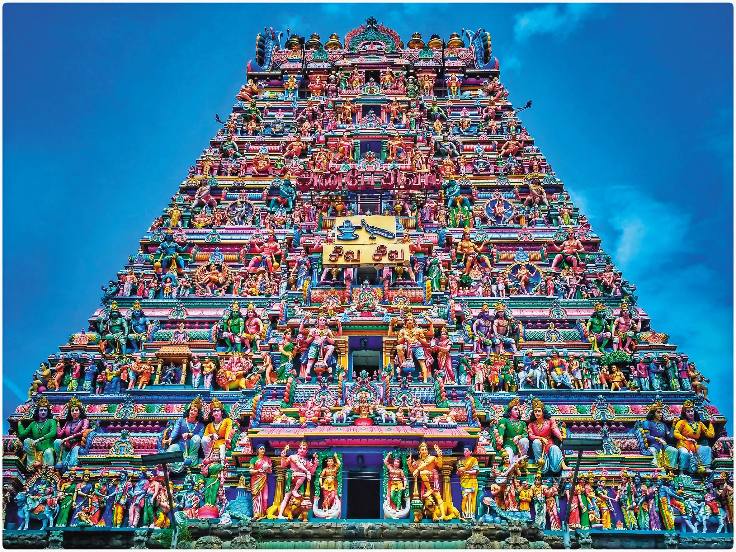 wafid medical appointment Chennai